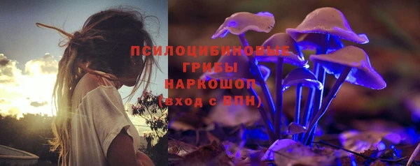 прущий лед Дмитров