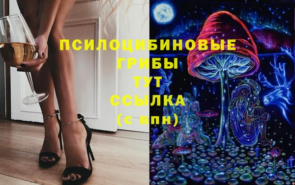 прущий лед Дмитров