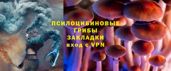 прущий лед Дмитров